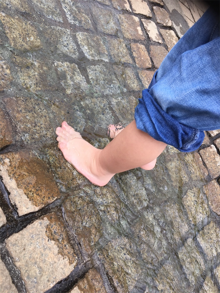 f:id:sks_joho:20170614154543j:image