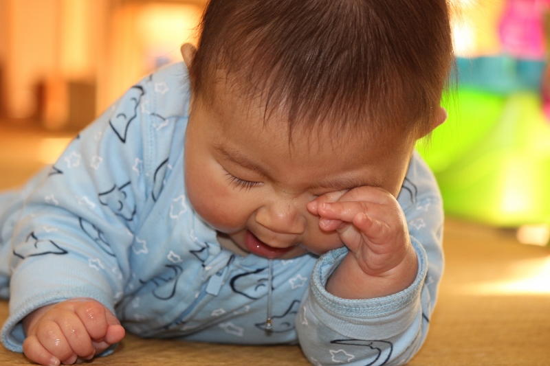 f:id:sks_joho:20171213162206j:plain f:id:sks_joho:20171213162206j:plain