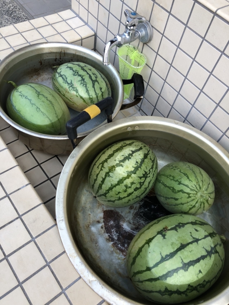 f:id:sks_joho:20180806214000j:plain f:id:sks_joho:20180806214000j:plain