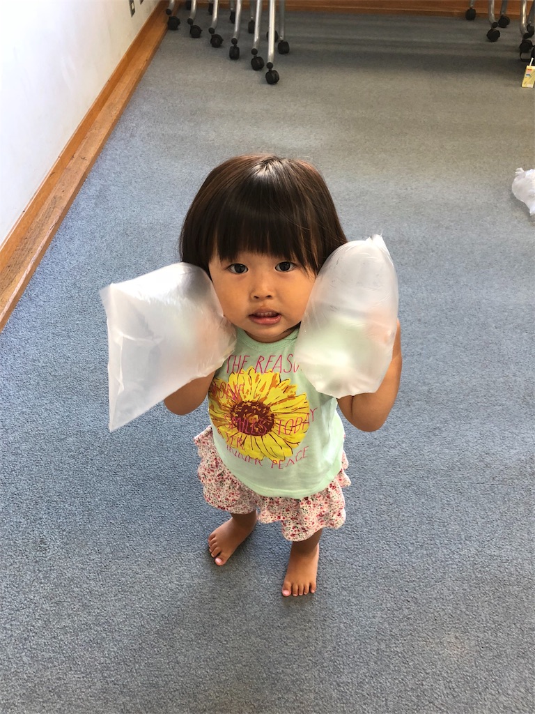 f:id:sks_joho:20180909220031j:image