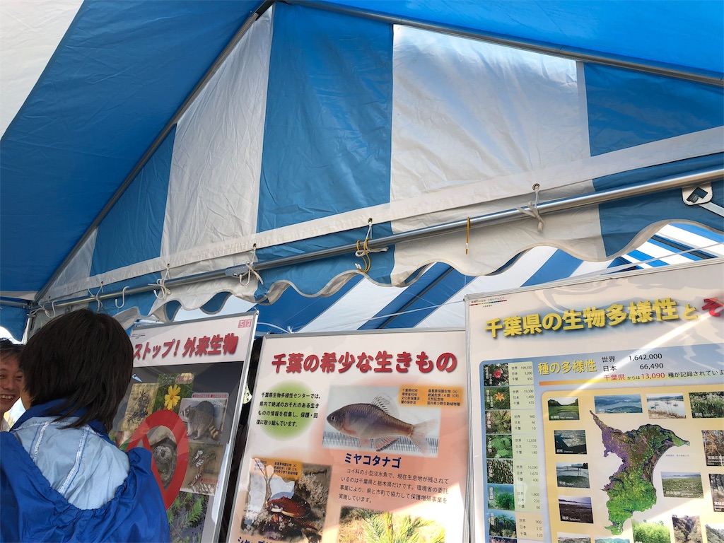 f:id:sks_joho:20181029202952j:image