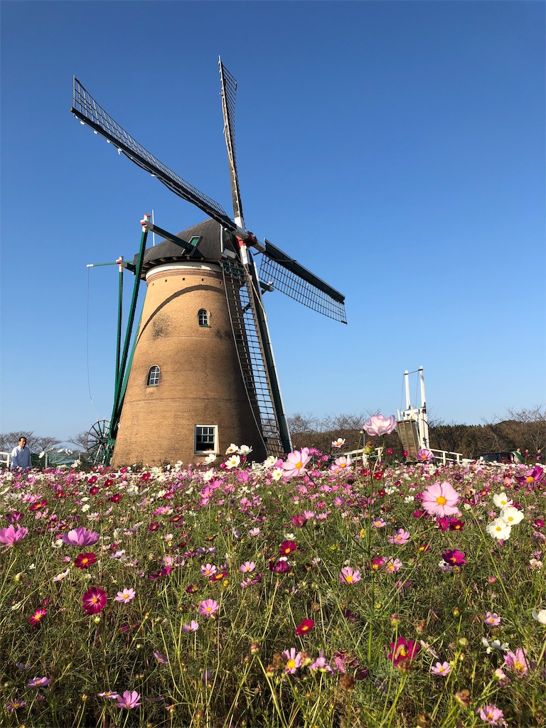 f:id:sks_joho:20181029203438j:image