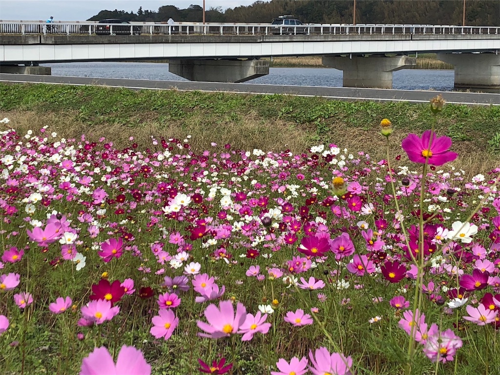 f:id:sks_joho:20181029203643j:image