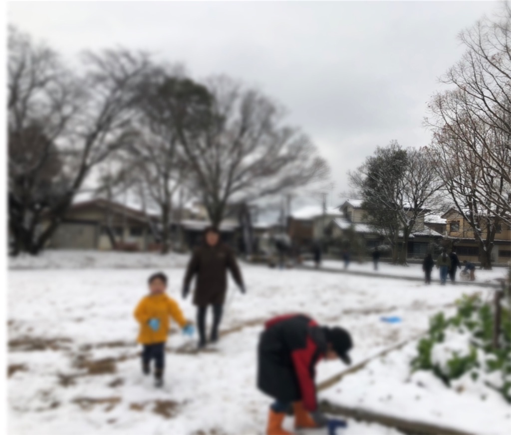 f:id:sks_joho:20190209193930j:image