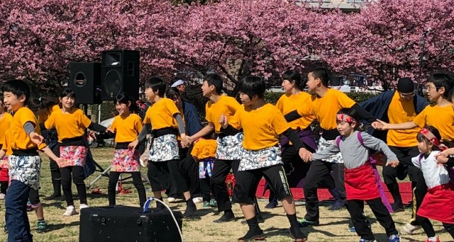f:id:sks_joho:20190310215256j:image