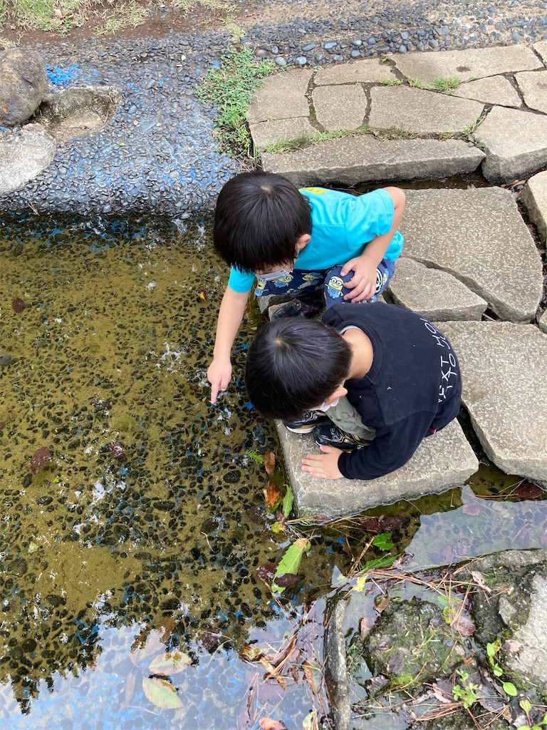 f:id:sks_joho:20220923172749j:image f:id:sks_joho:20220923172749j:image