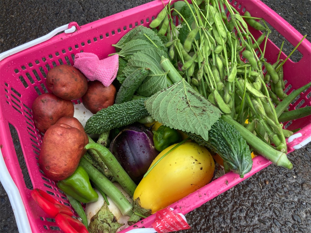 f:id:sks_joho:20230927112648j:image