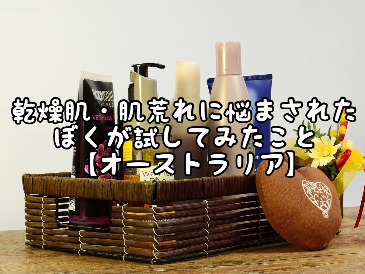 f:id:skst_aus:20200415150204j:plain