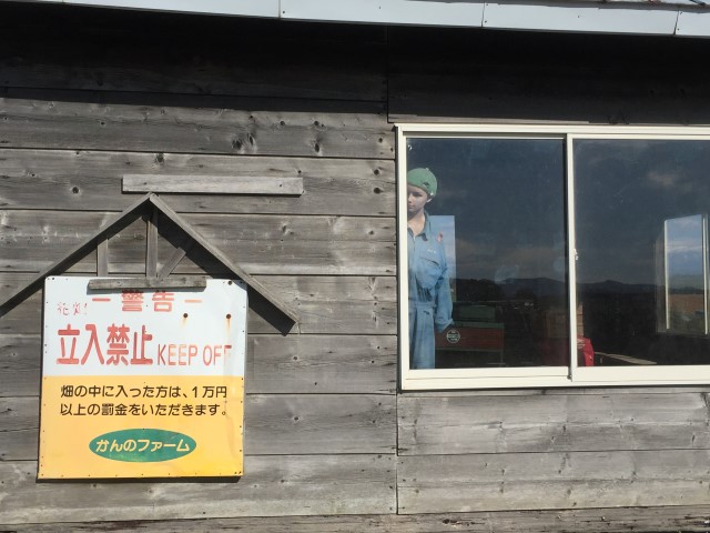 f:id:sktokyobloke:20161129140109j:plain f:id:sktokyobloke:20161129140109j:plain