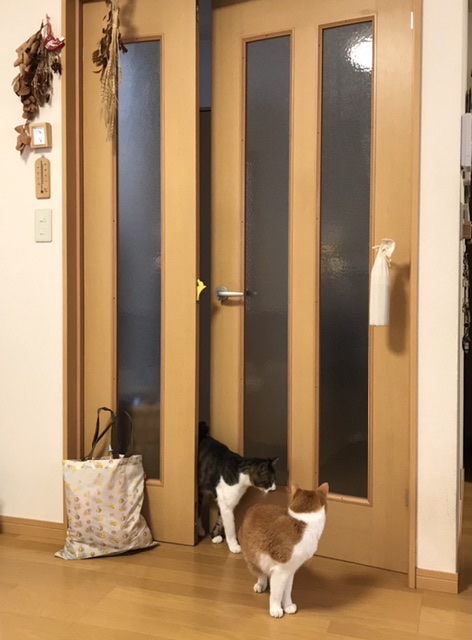 ねこ出入り用ドアラッチストッパー 蕗狩軽便図画工作日記