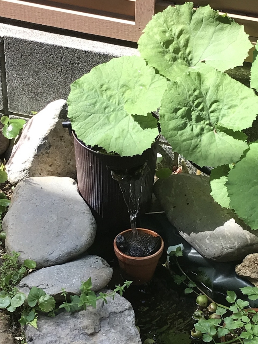 樹脂製 成型池 池水用循環ポンプセットで ビオトープ 庭用池