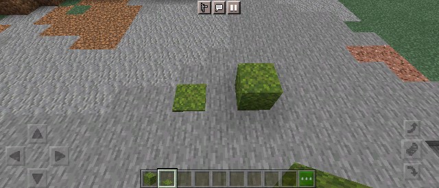 Ver1 17から実装の植物ブロックを一挙に紹介 マイクラ Sくんのminecraft
