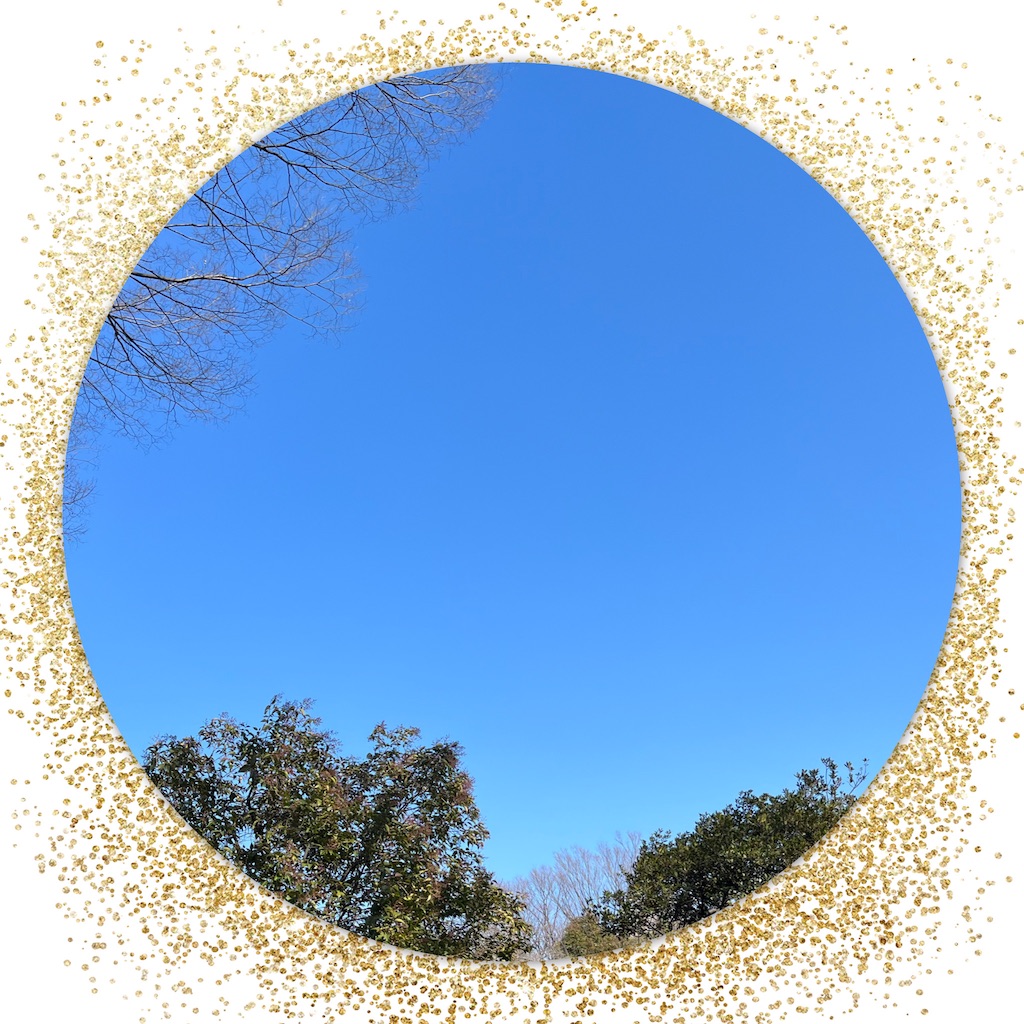 f:id:skuraskux:20220202175052j:image f:id:skuraskux:20220202175052j:image