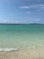 f:id:sky-chihiro:20190414150314j:plain f:id:sky-chihiro:20190414150314j:plain