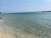 f:id:sky-chihiro:20190414151208j:plain f:id:sky-chihiro:20190414151208j:plain