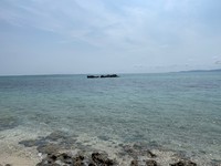 f:id:sky-chihiro:20190414151257j:plain f:id:sky-chihiro:20190414151257j:plain