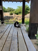 f:id:sky-chihiro:20190414154707j:plain f:id:sky-chihiro:20190414154707j:plain