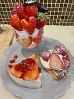 f:id:sky-chihiro:20211225113653j:plain