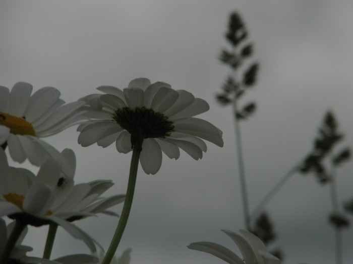 f:id:sky-graph:20140614234036j:image