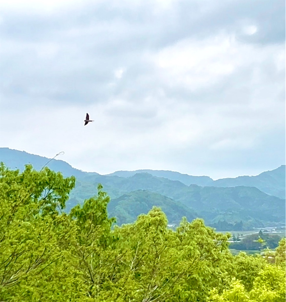 皐月お朔日に…雹も、虹も、青空も - 徒然さやか日記