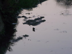 f:id:sky727:20100910175323j:image