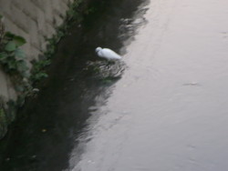 f:id:sky727:20100910175332j:image