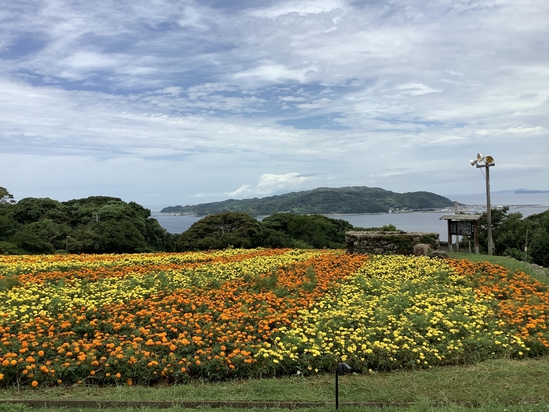 f:id:sky_wind29:20210718173206j:plain