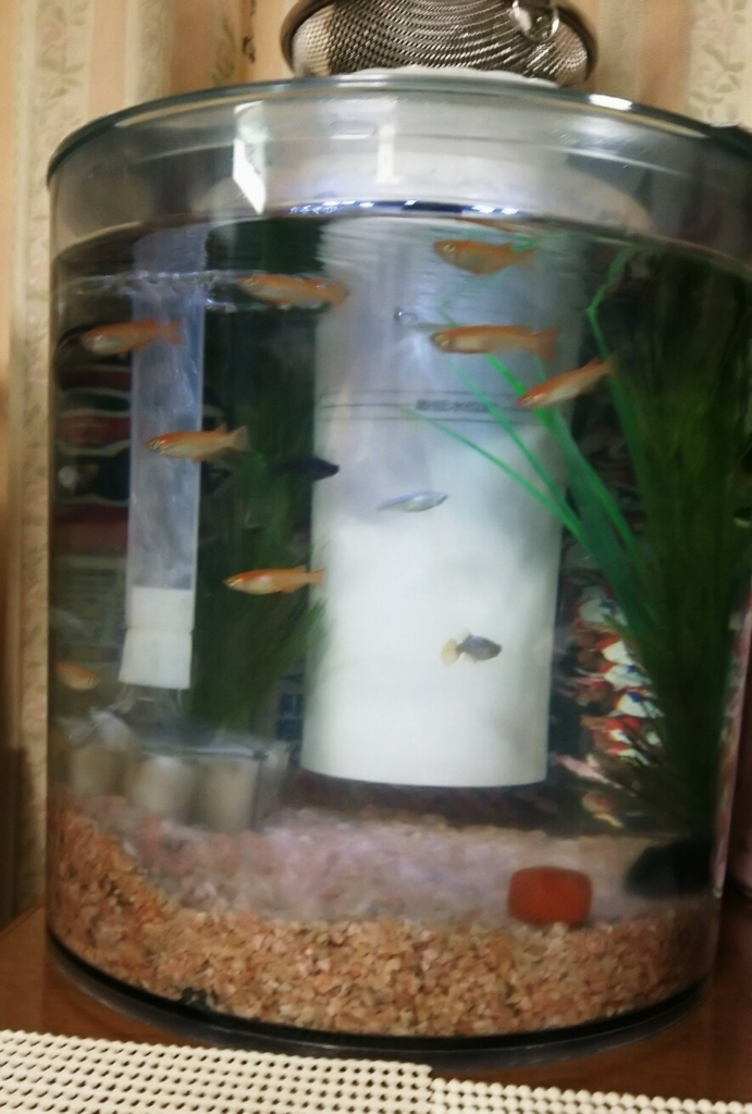 f:id:skyaya:20180429191719j:plain f:id:skyaya:20180429191719j:plain