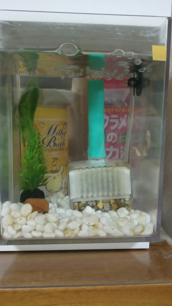 f:id:skyaya:20180429191744j:plain f:id:skyaya:20180429191744j:plain