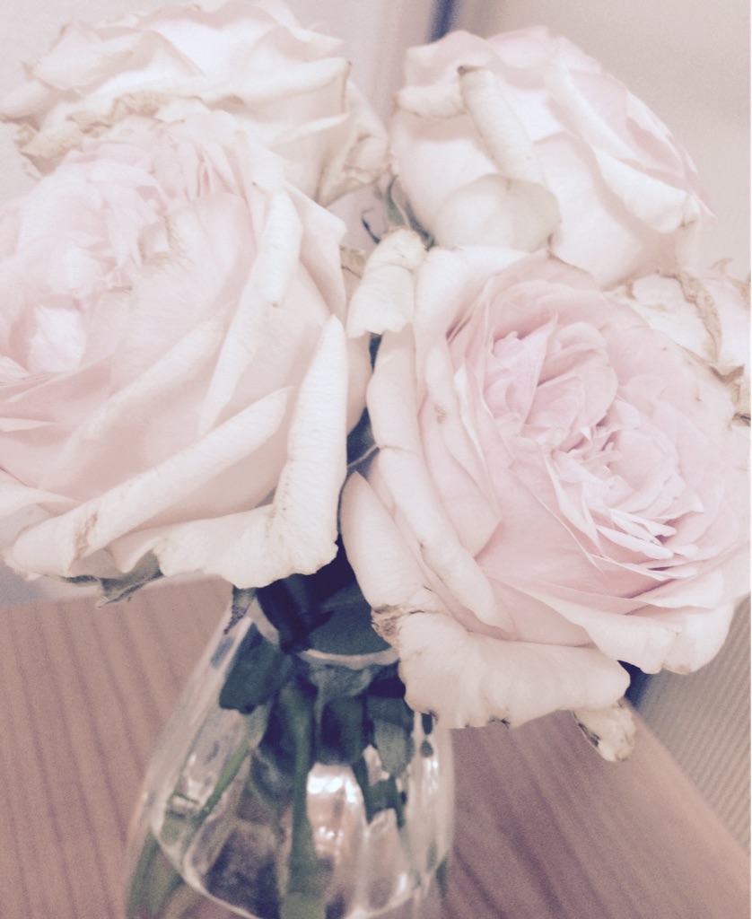 f:id:skyblue555:20160916181003j:image f:id:skyblue555:20160916181003j:image