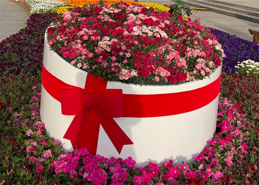f:id:skyblue8727:20220421214952j:image
