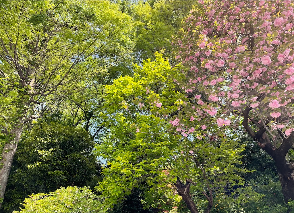 f:id:skyblue8727:20220422175607j:image