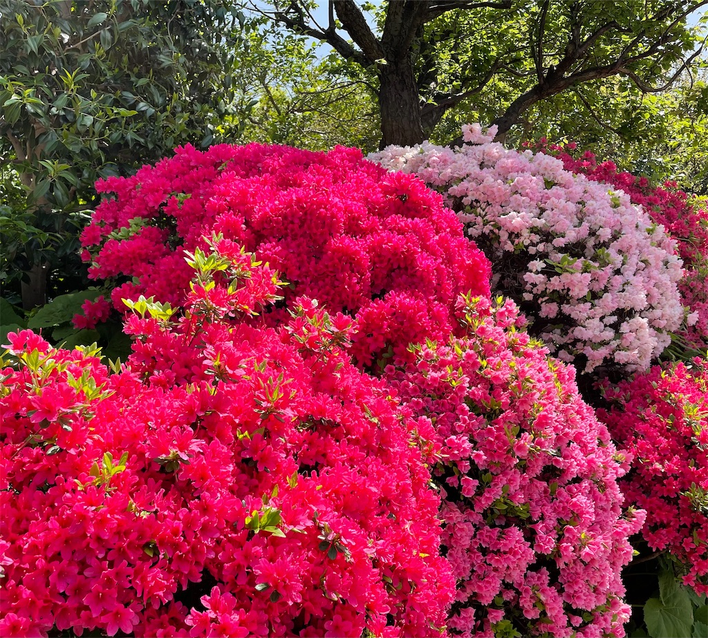 f:id:skyblue8727:20220422180123j:image