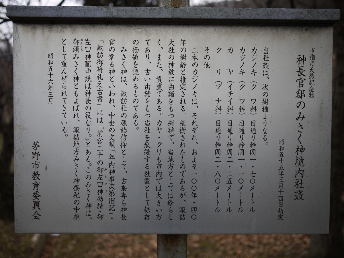 みしゃぐじ（はじめにプロフ読んでね！） 諏訪 - skycommuのブログ