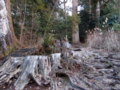 20121120083226