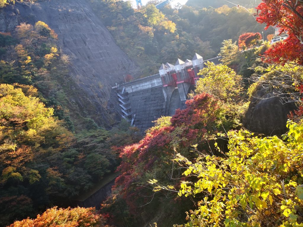 f:id:skycrad0615:20201120075314j:plain