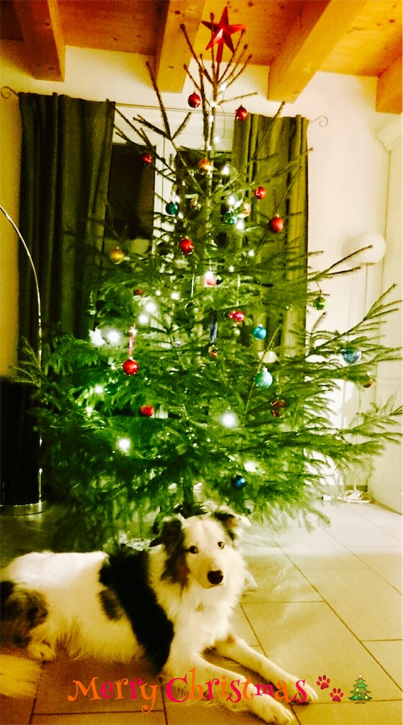 f:id:skyeborder:20161226002824j:image f:id:skyeborder:20161226002824j:image