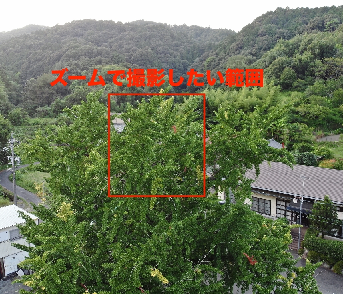 f:id:skyeye-japan:20201020192656j:plain