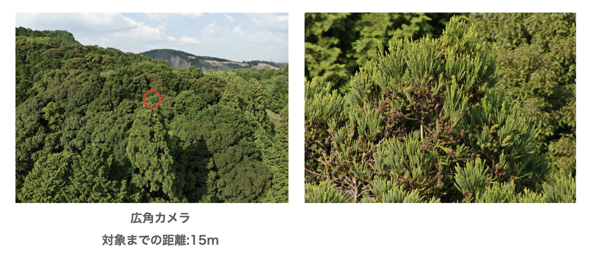 f:id:skyeye-japan:20201025184658j:plain