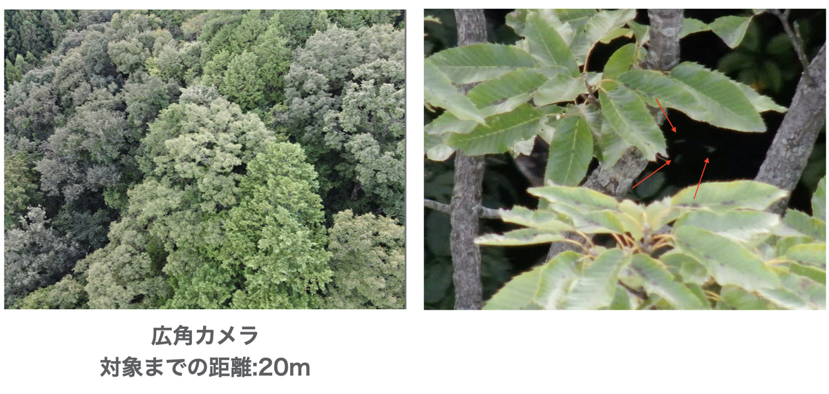f:id:skyeye-japan:20201103014733j:plain