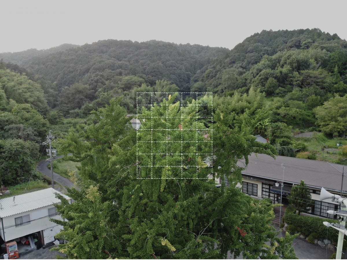 f:id:skyeye-japan:20201127002556p:plain