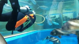 f:id:skyfiniti1:20180506211011j:image f:id:skyfiniti1:20180506211011j:image