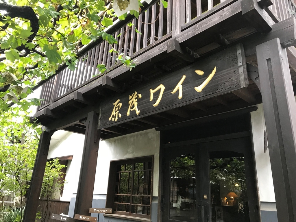 f:id:skyfrogs:20181028200447j:plain