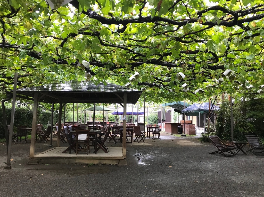 f:id:skyfrogs:20181028200542j:plain