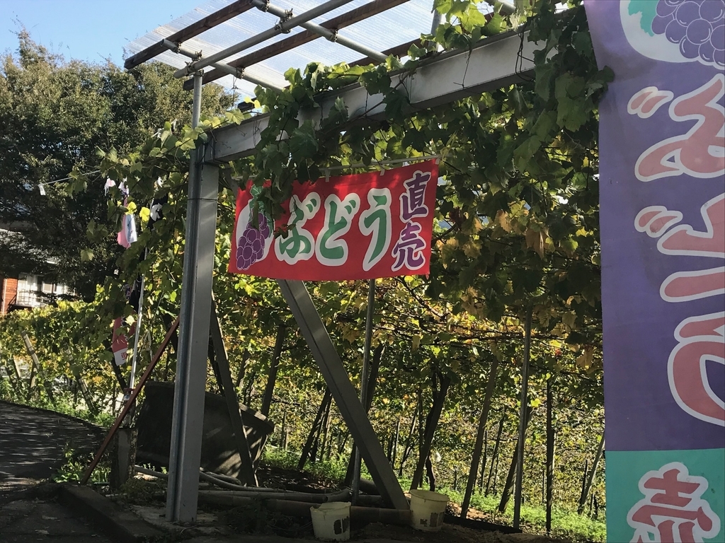 f:id:skyfrogs:20181028203326j:plain