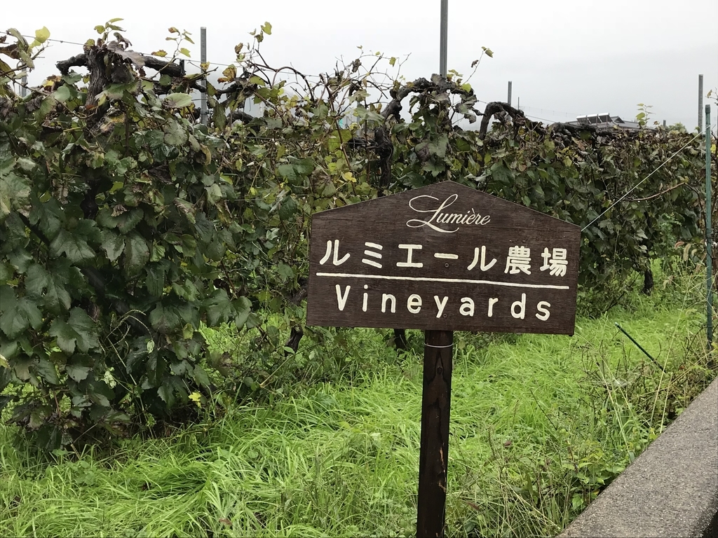 f:id:skyfrogs:20181102021757j:plain