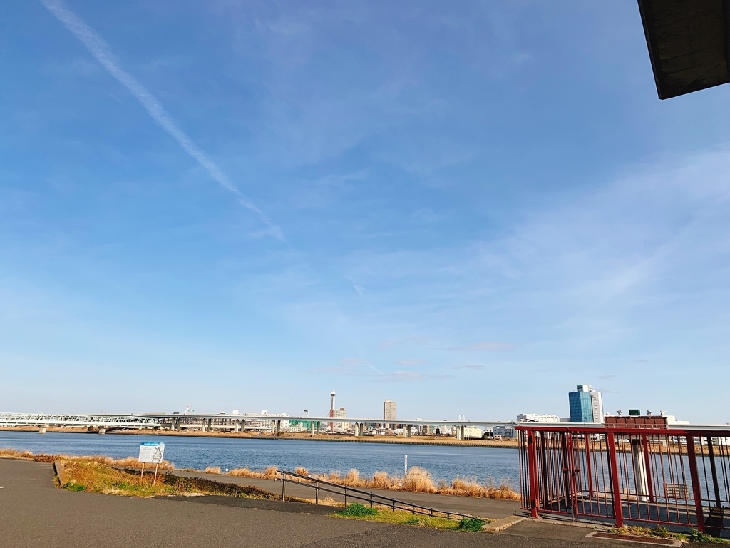 f:id:skyfrogs:20190211202103j:plain