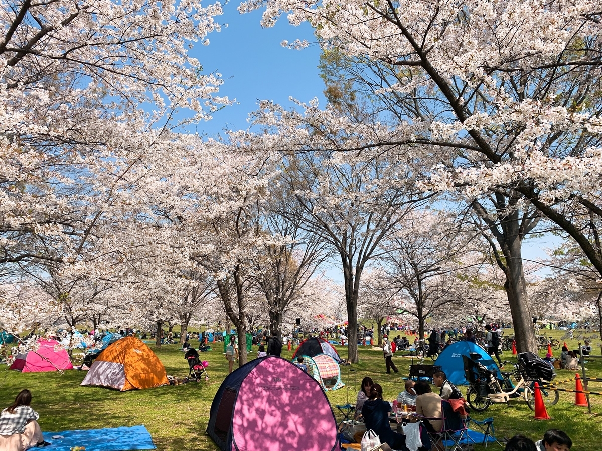 f:id:skyfrogs:20190410000313j:plain
