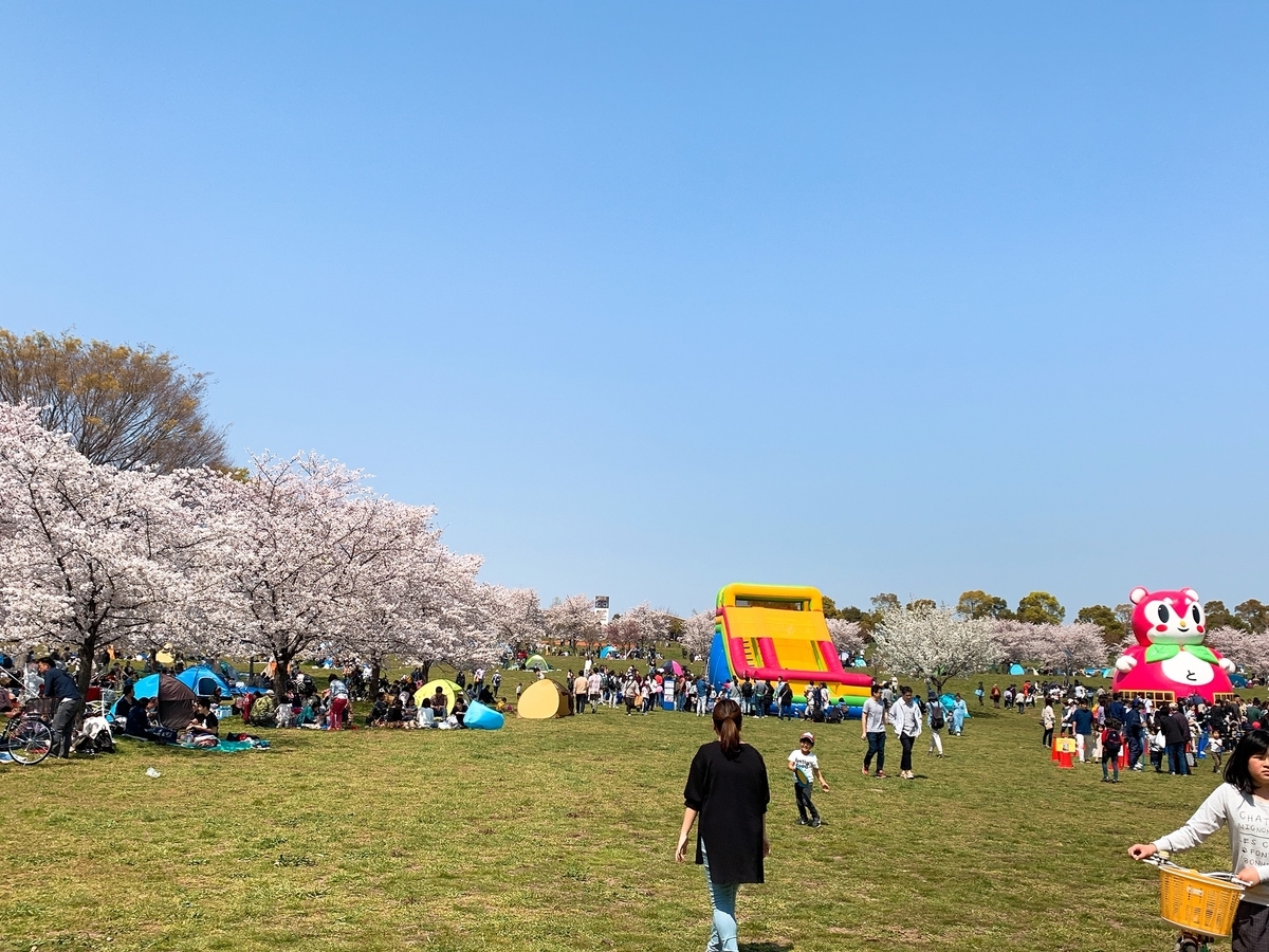 f:id:skyfrogs:20190410000501j:plain