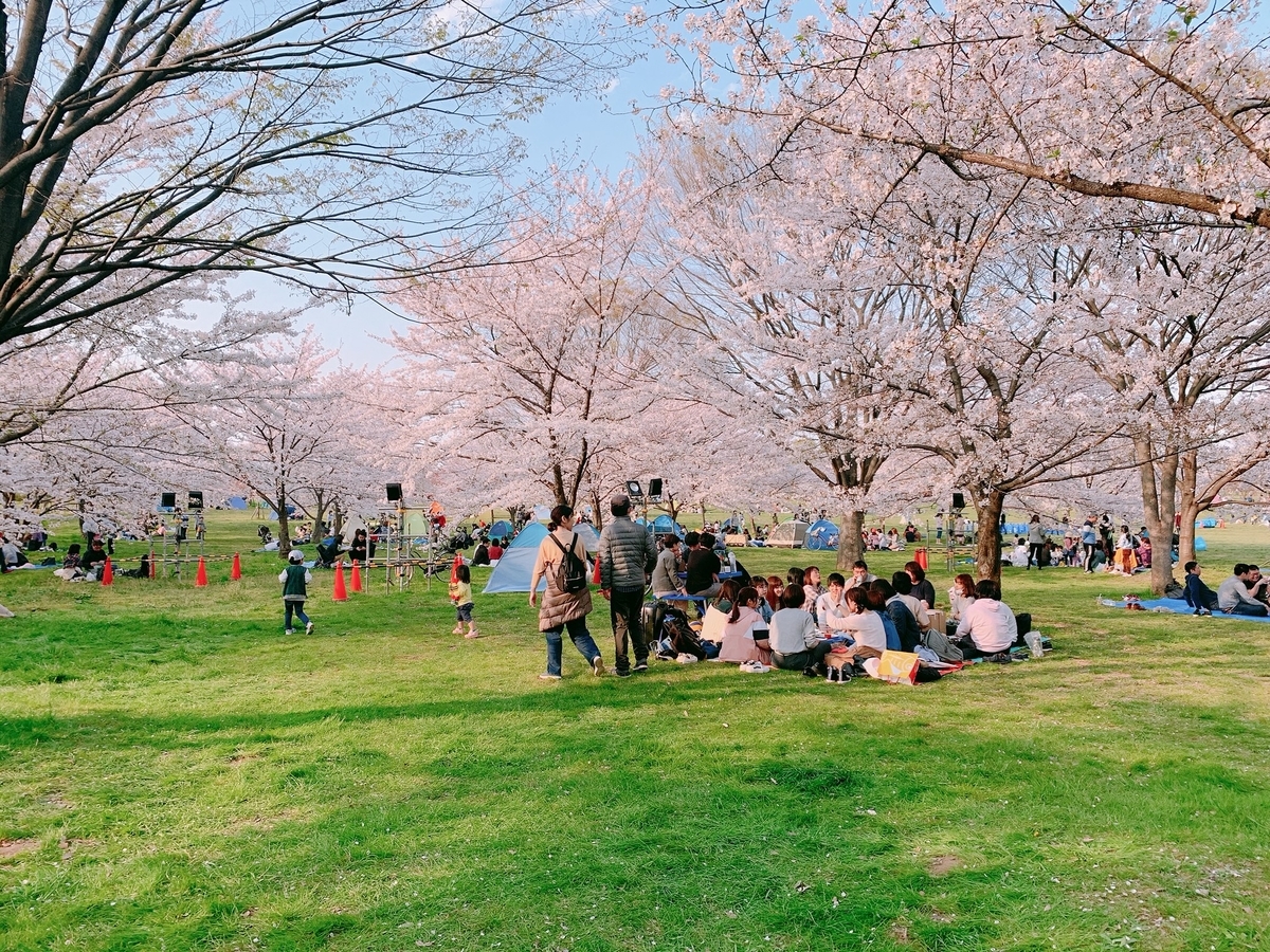 f:id:skyfrogs:20190410000530j:plain